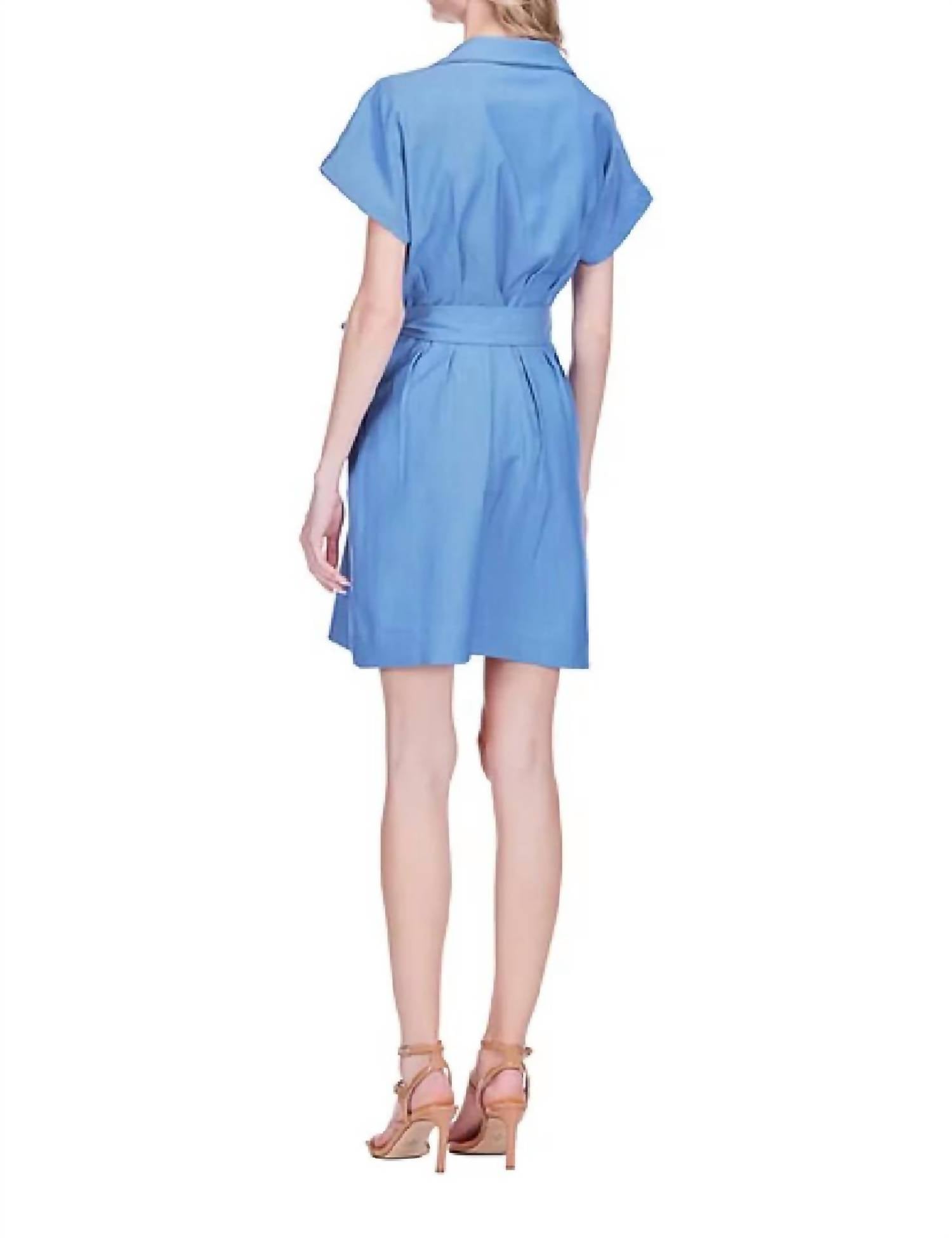 Joy Joy - Waist Pleated Button Dress