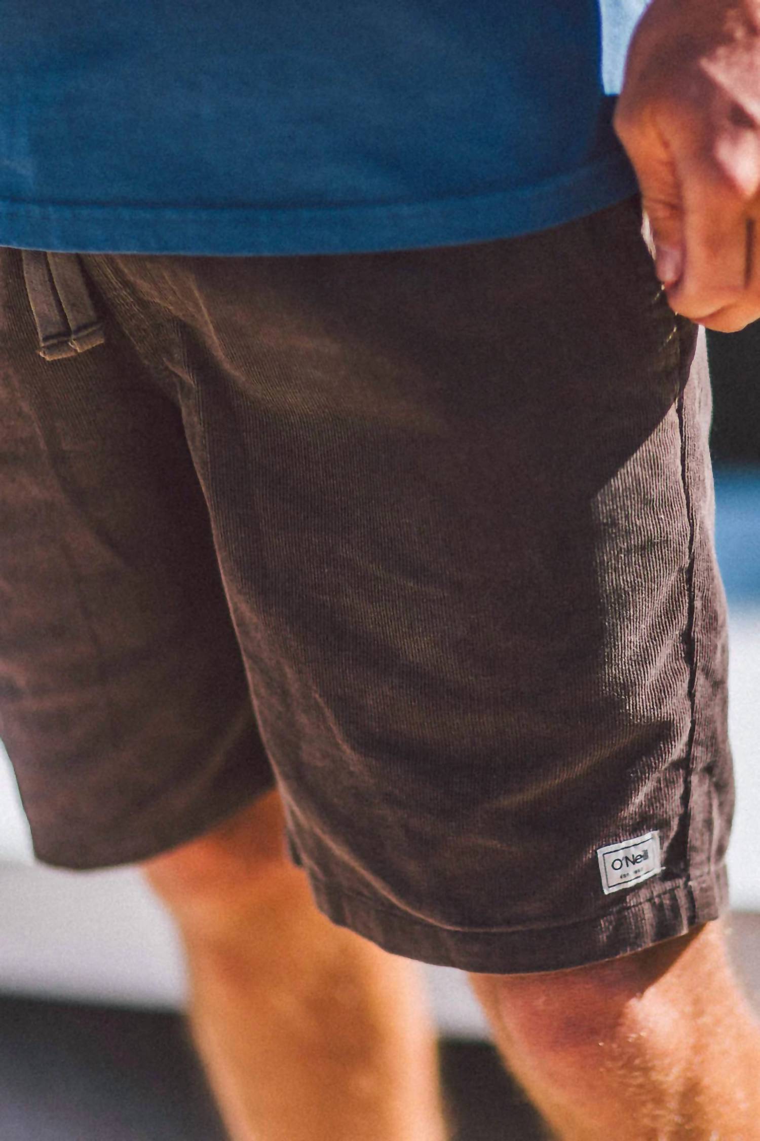 O'NEILL OG Cord Shorts in chocolate chip - men's shorts - view 6