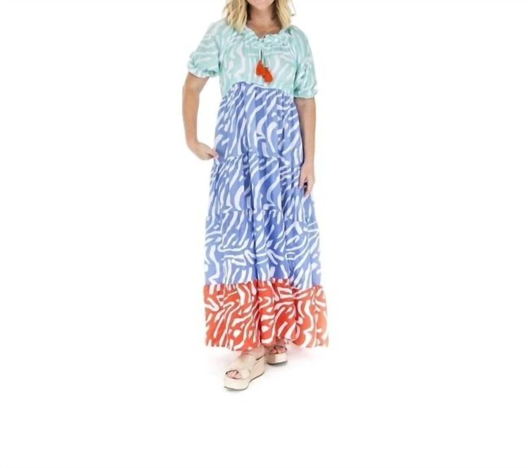 zebra maxi dress