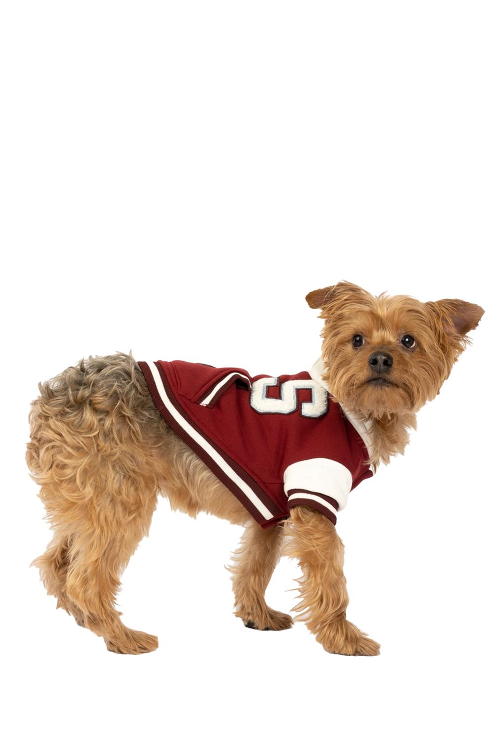 Silver Paw Otis Hoodie Style Varsity Jacket With Snap Closure in burgundy - item