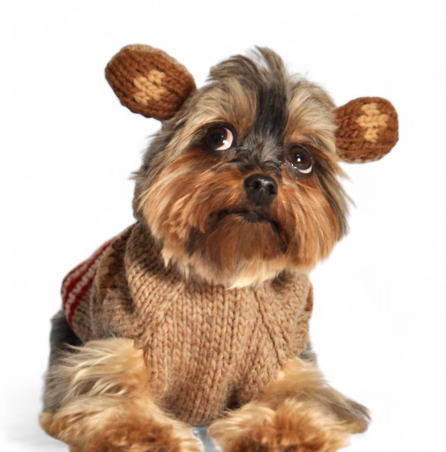 Chilly Dogs - Monkey Dog Sweater