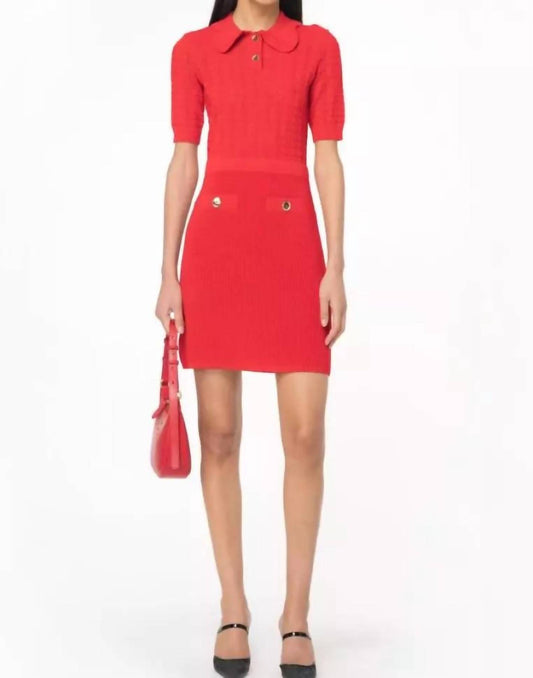 Pinko - Equiseto Knitted Dress