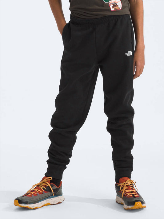 The North Face - Camp Fleece Jogger - Plus