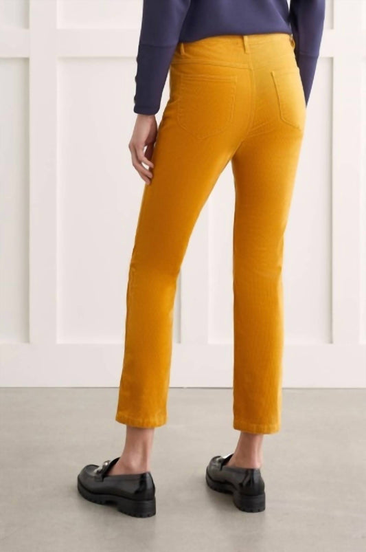 Tribal - Pull On 5 Pocket Pant