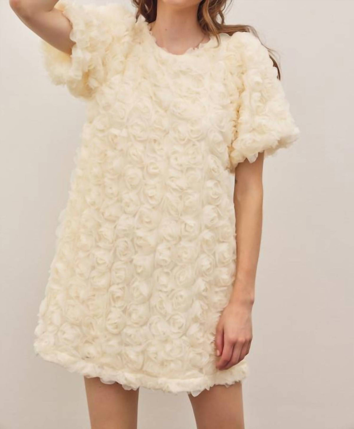 In February - Rose Applique Bubble Sleeved Mini Dress