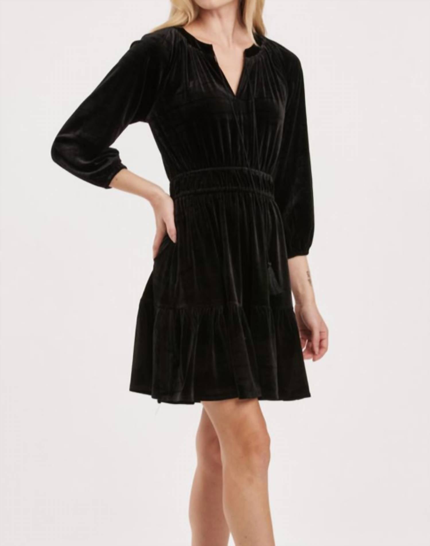 Another Love - Gillian Velvet Mini Dress