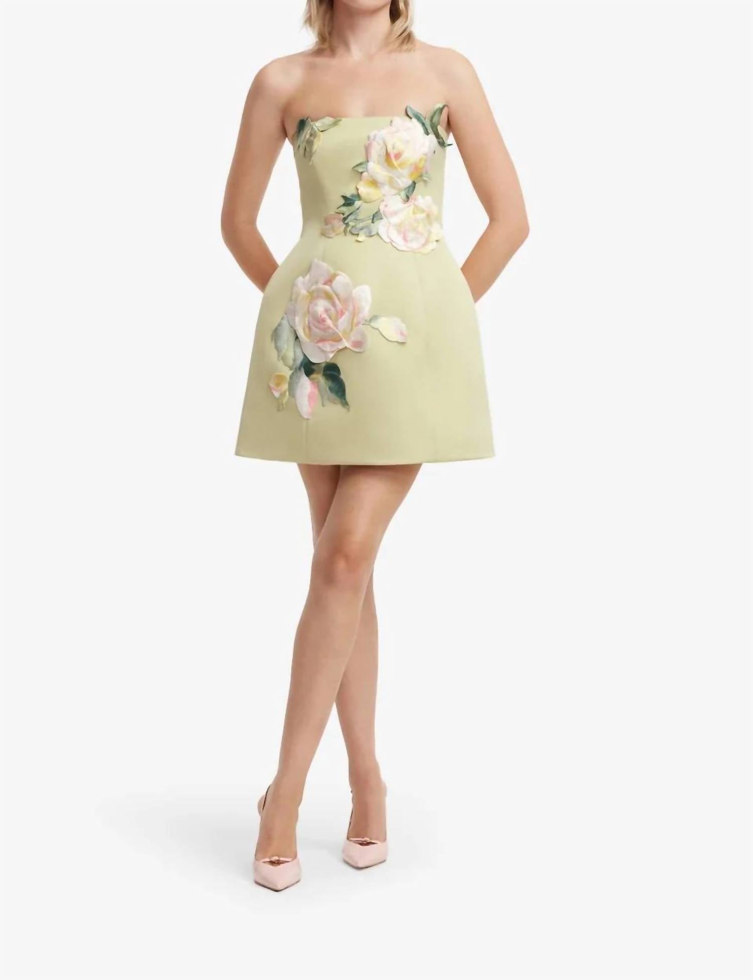 Leo Lin - Roselle Embroidered Bustier Mini Dress
