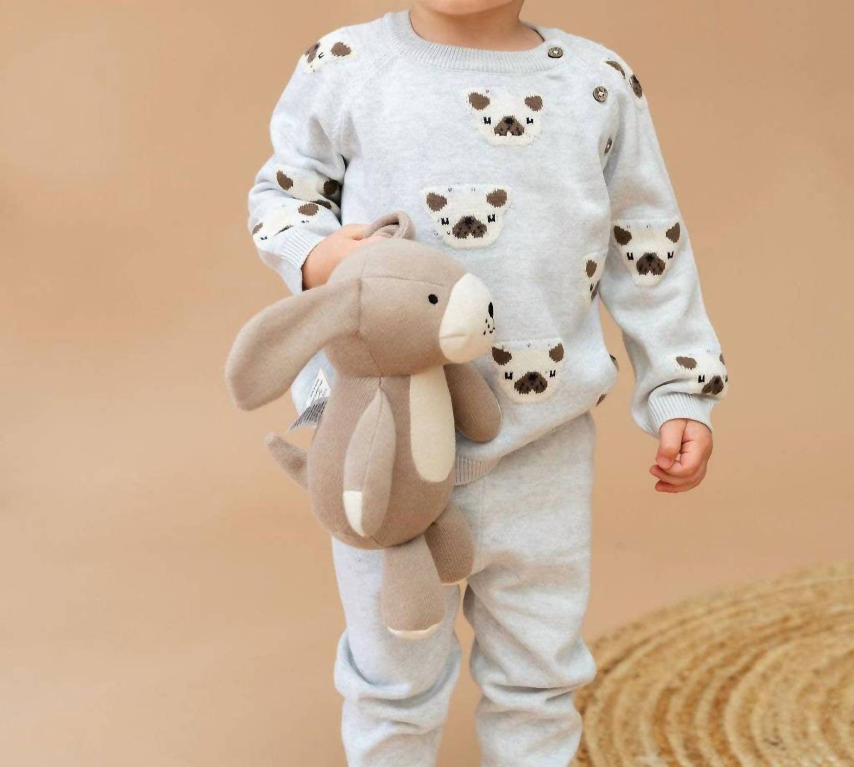 Viverano Organics - Frenchie Puppy Jacquard Knit Pullover Sweater