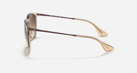 Ray Ban - Women's Rb4171 Erika Transparent Sunglasses