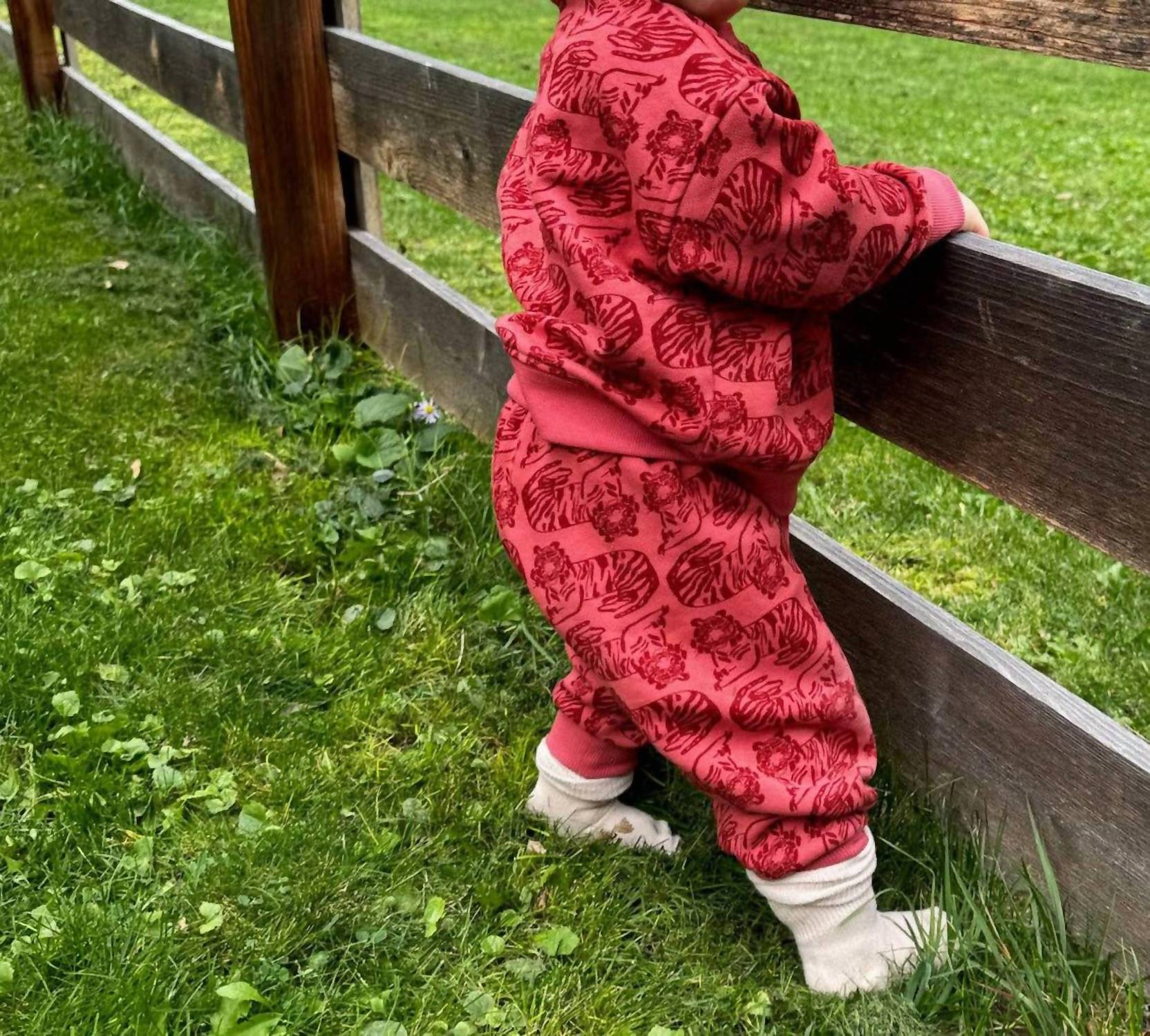 Lewis - Boy's Print Organic Cotton Sweatshirt