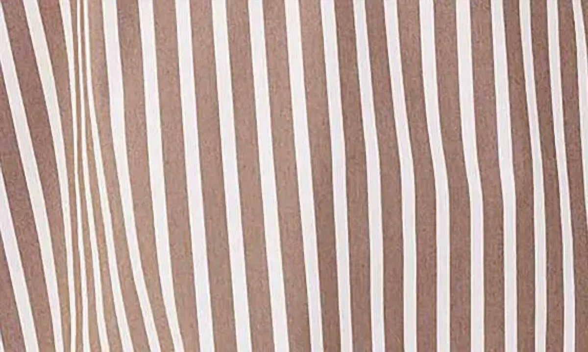 Foxcroft - Sophia Three Quarter Stripe Popover Top