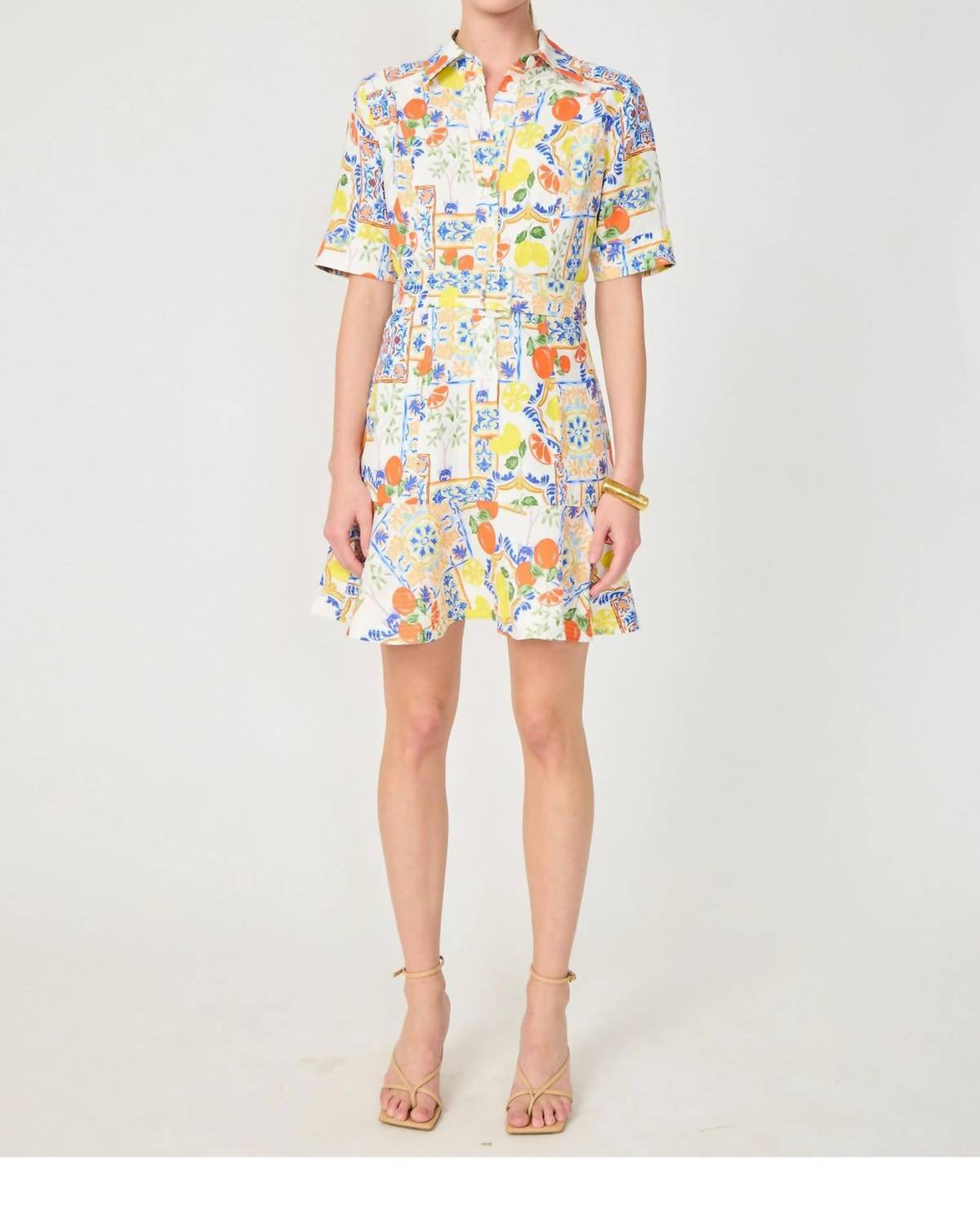 Gilner Farrar - Payden Fitted Button Down Dress