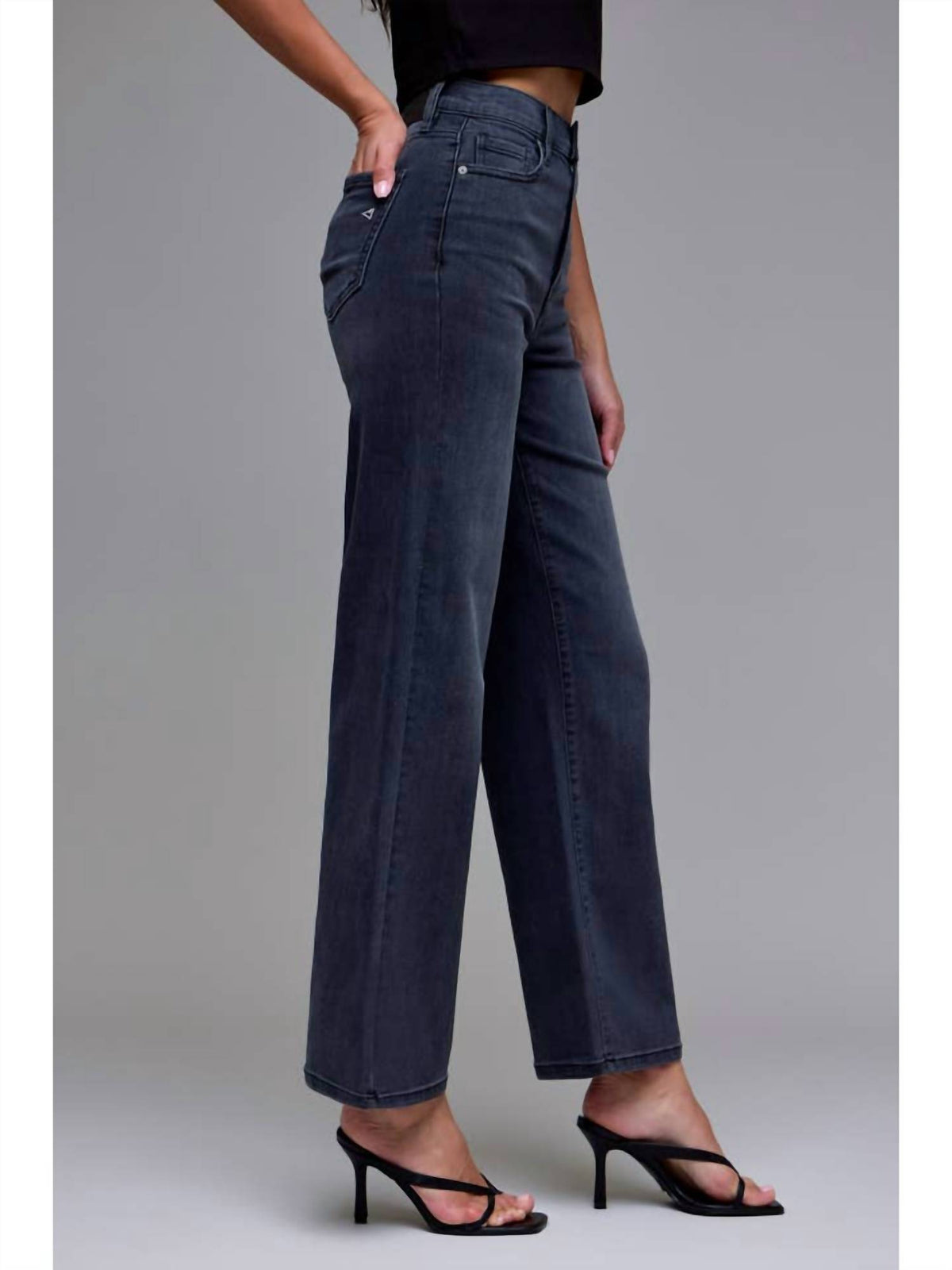 Hidden - High Rise Dad Jeans