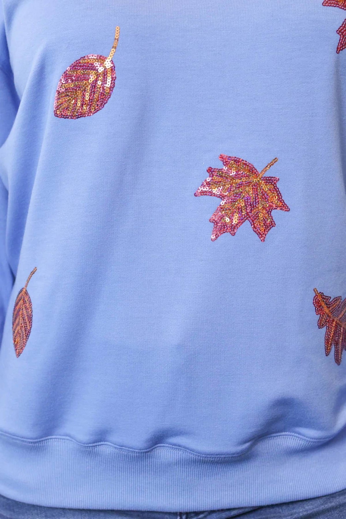 Jess Lea - Autumn Spark Sequin Pullover