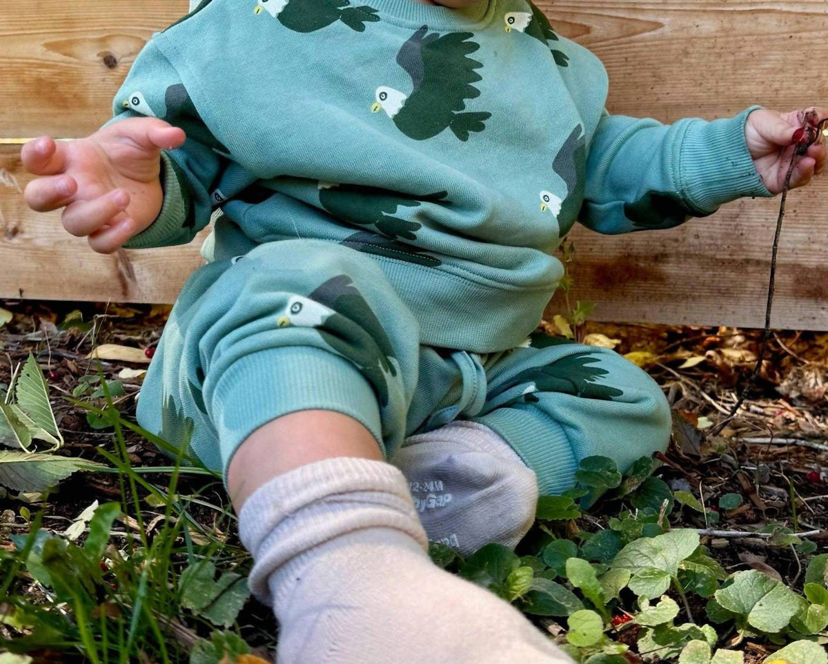 Lewis - Baby's Eagle Pull-on Sweatshirt