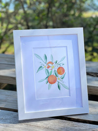Little Blue Designs - Citrus Framed Art Print