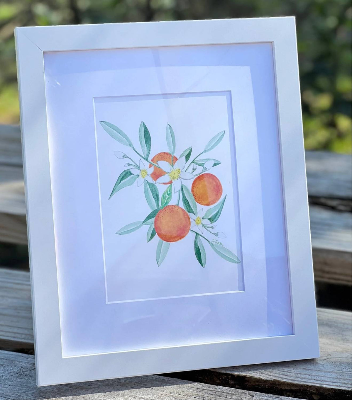 Little Blue Designs - Citrus Framed Art Print