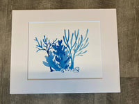 Little Blue Designs - Multiple Coral Framed Art Print