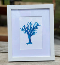 Little Blue Designs - Single Coral Reef Framed Art Print