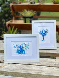 Little Blue Designs - Single Coral Reef Framed Art Print