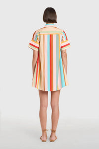 Livro - Dock Dress