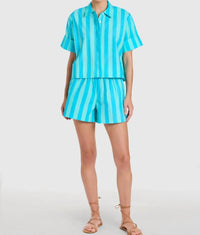 Livro - Pool Shorts