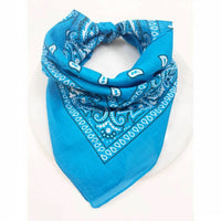 Love And Repeat - Unisex Paisley Pattern Bandana