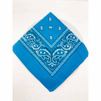 Love And Repeat - Unisex Paisley Pattern Bandana