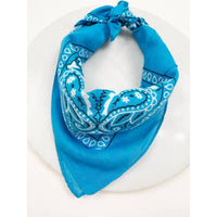 Love And Repeat - Unisex Paisley Pattern Bandana