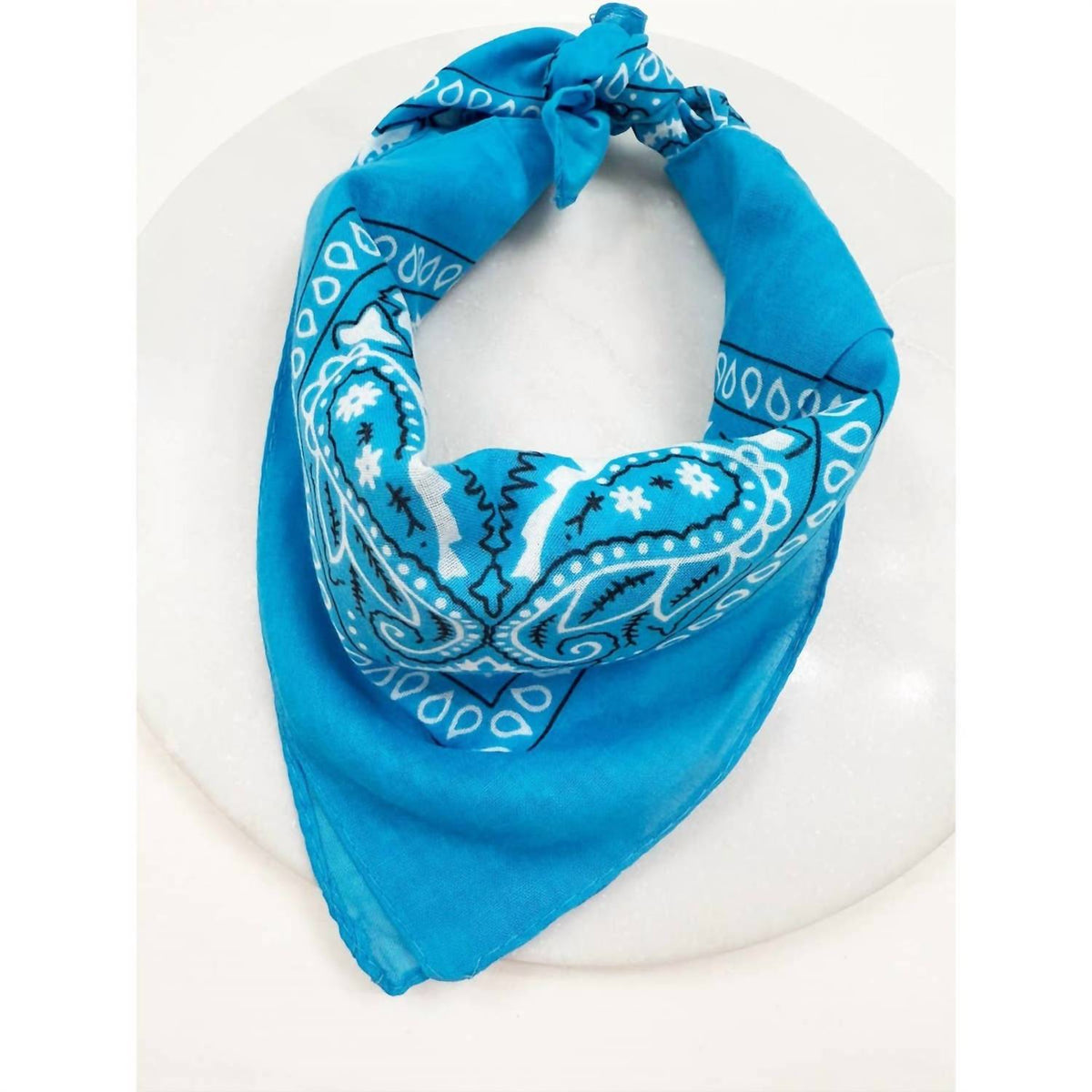Love And Repeat - Unisex Paisley Pattern Bandana