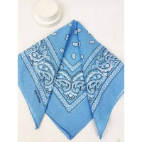 Love And Repeat - Unisex Paisley Pattern Bandana