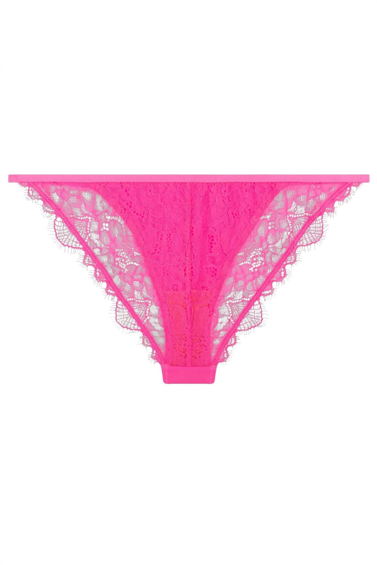 Love Stories - Wild Rose Brief