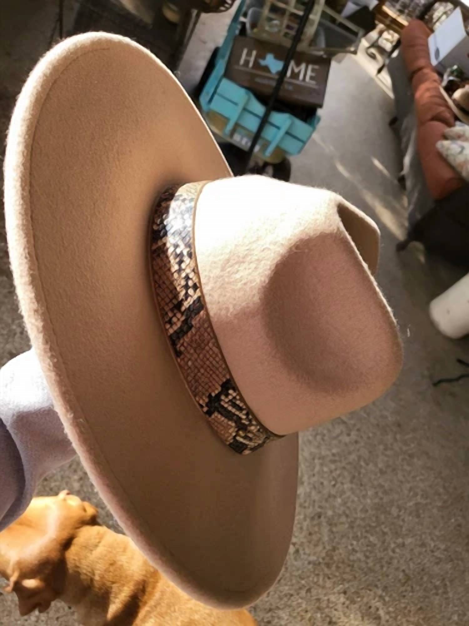 Lucca - Women's Snake Trim Fedora Hat - accessories - beige - hats