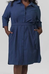 Lysse - Printed Schiffer Dress - Plus