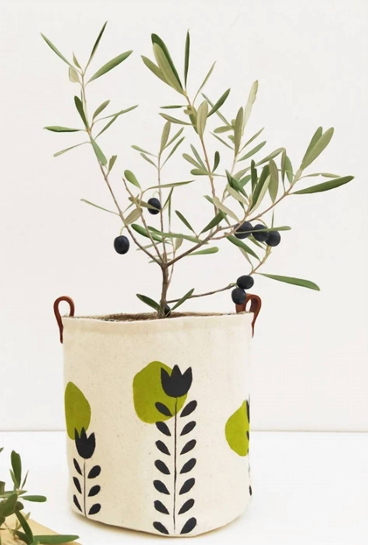 Mac - Modern Indoor Planter