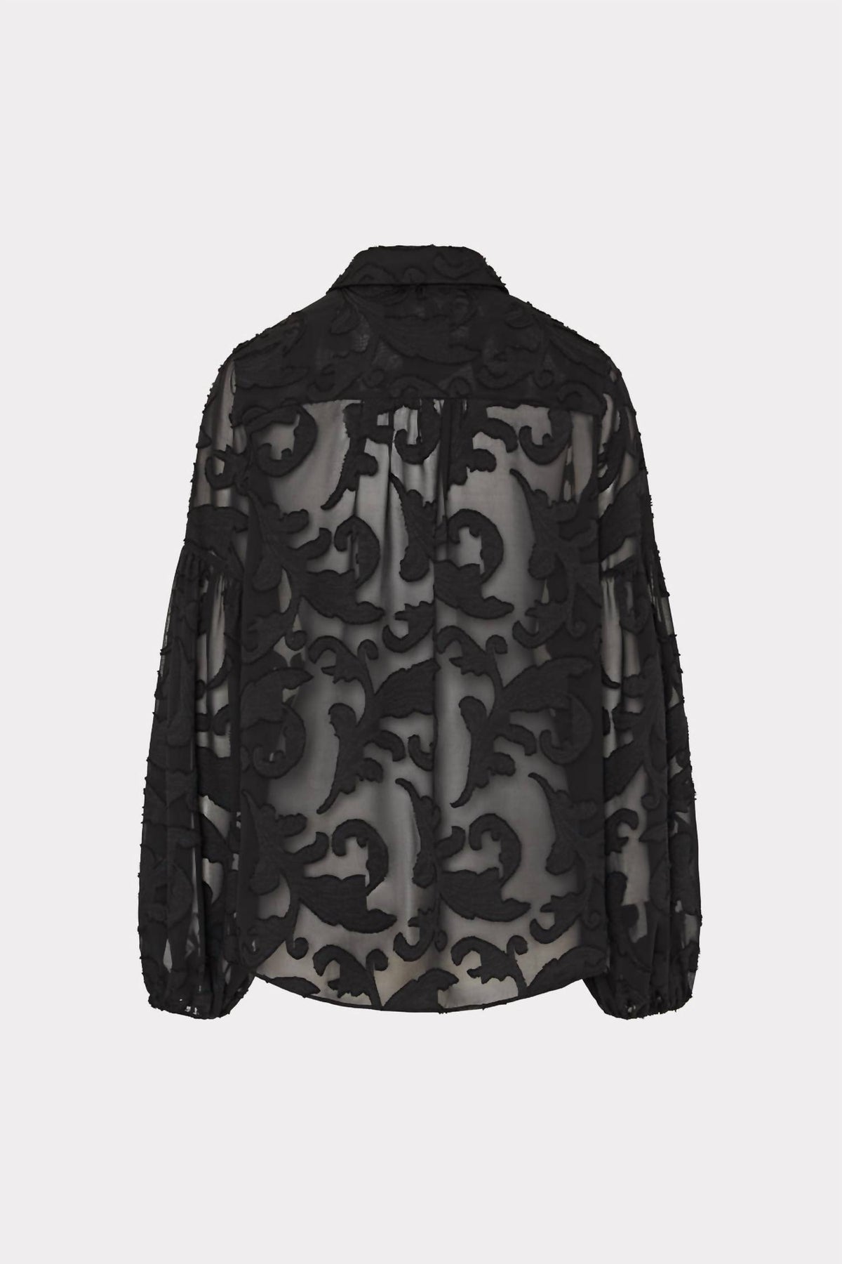 Milly - Scroll Button Up Top