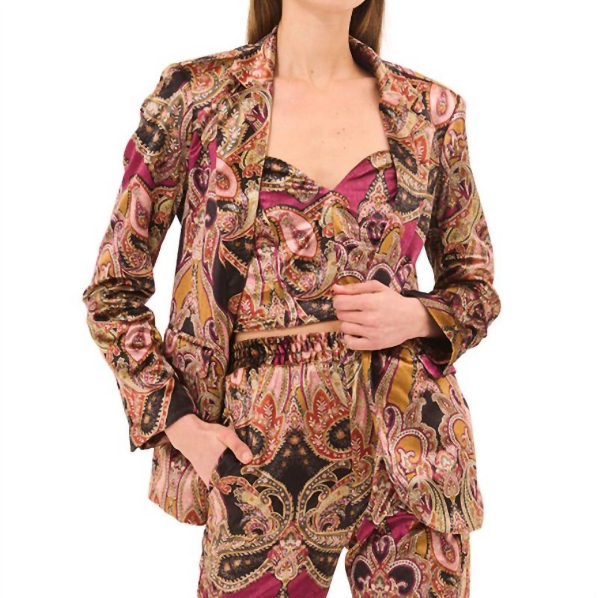 Misa Los Angeles - Catroux Paisley Jacket