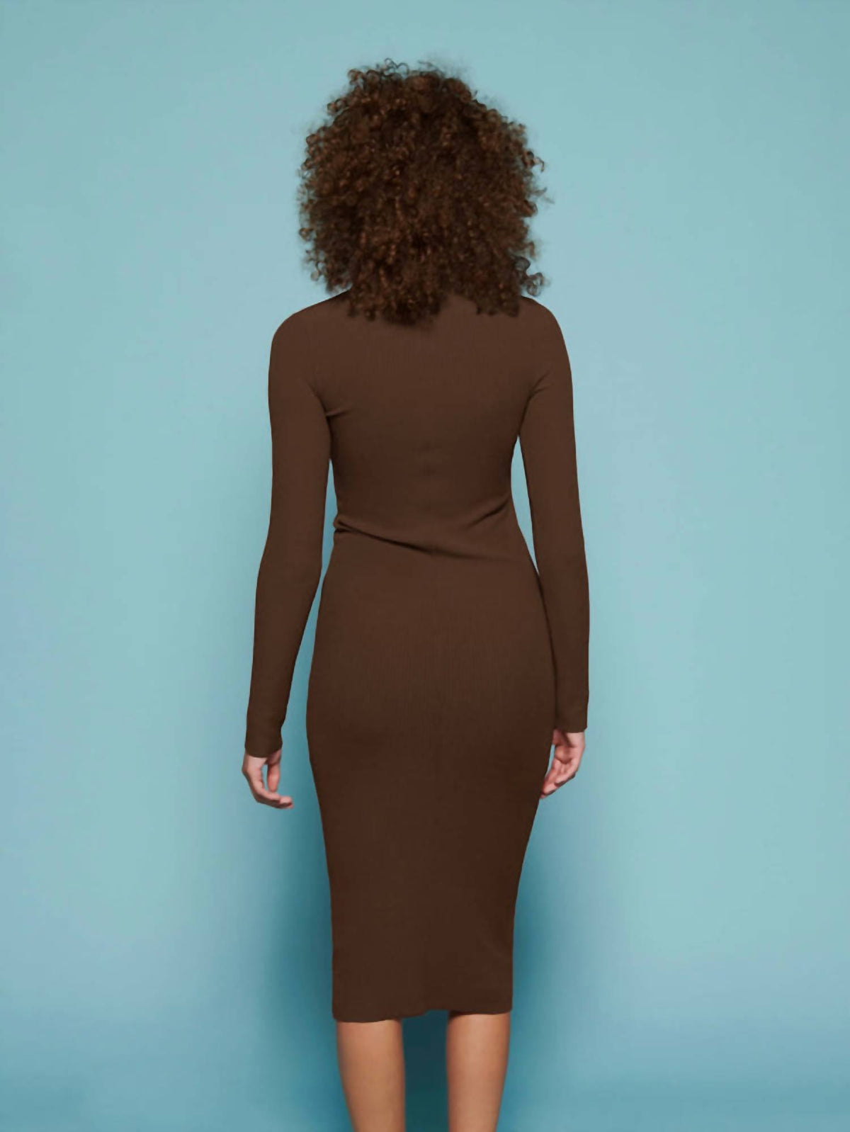 Nation Ltd - Phoebe Turtleneck Dress
