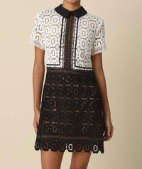 Olivaceous - Skye Contrast Lace Mini Dress