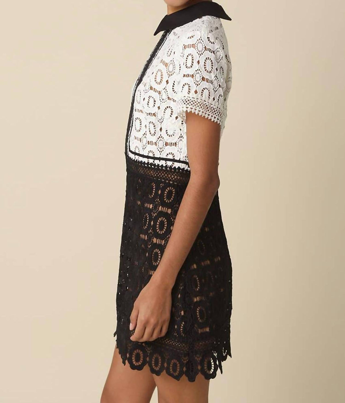 Olivaceous - Skye Contrast Lace Mini Dress
