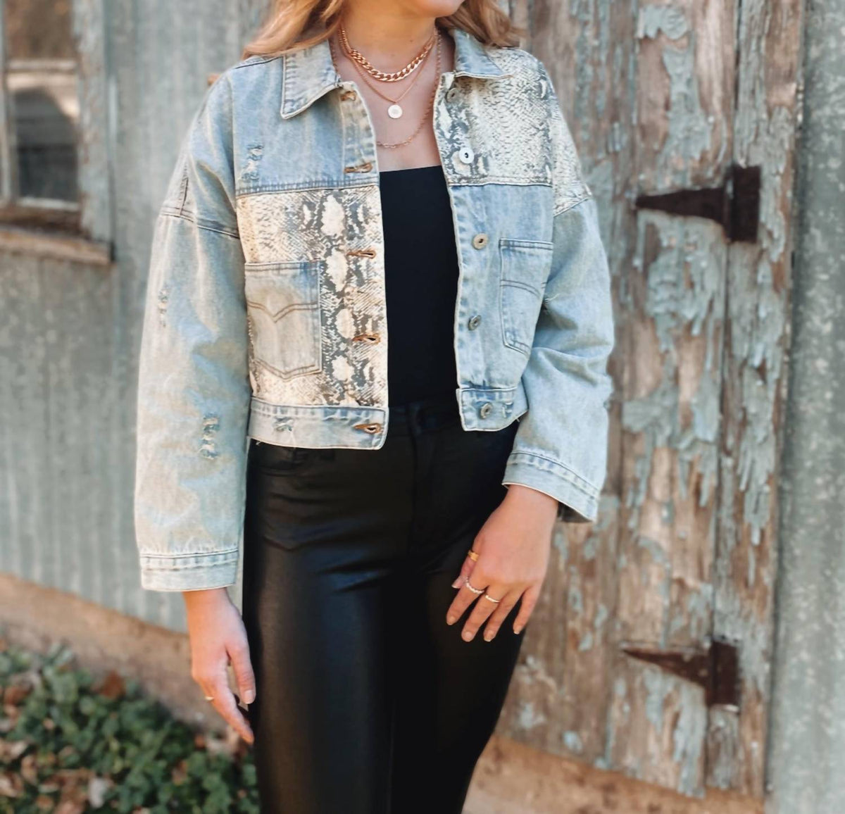 Pol - Denim Snake Jacket