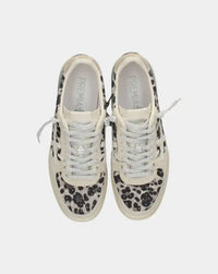 Premiata - Women’s Bskt Clad 8169 Leopard Sneaker