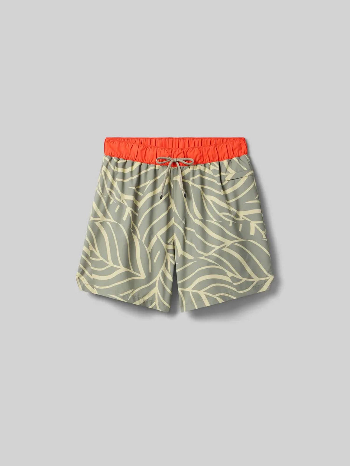 Rabbit - Surfs Up 6" Short