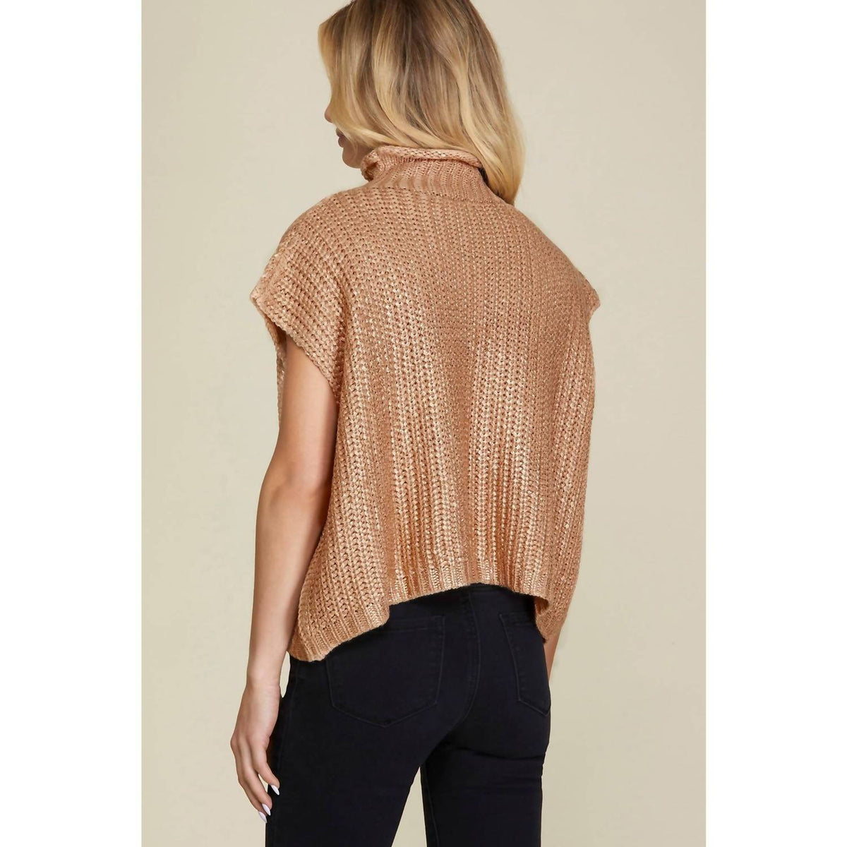 She + Sky - Metallic Foil Short Sleeve Sweater Top