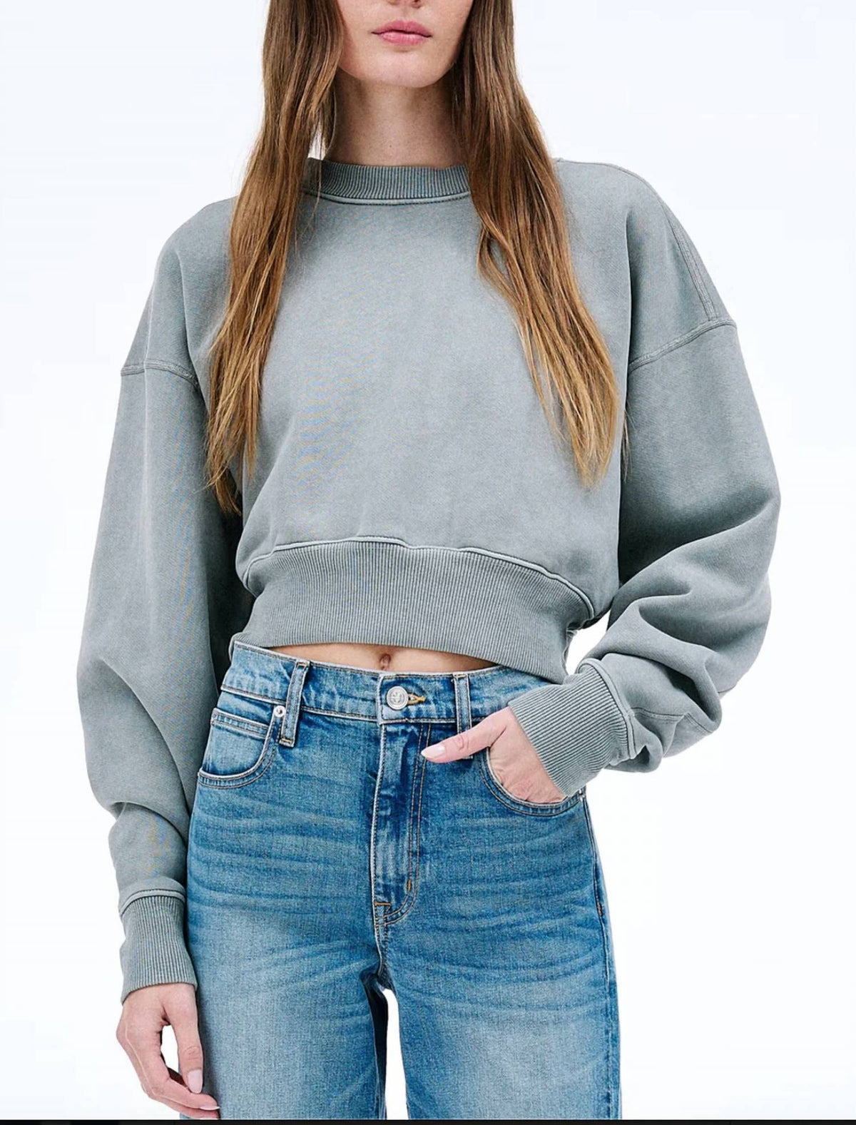 Slvrlake - Crop Crew Sweatshirt