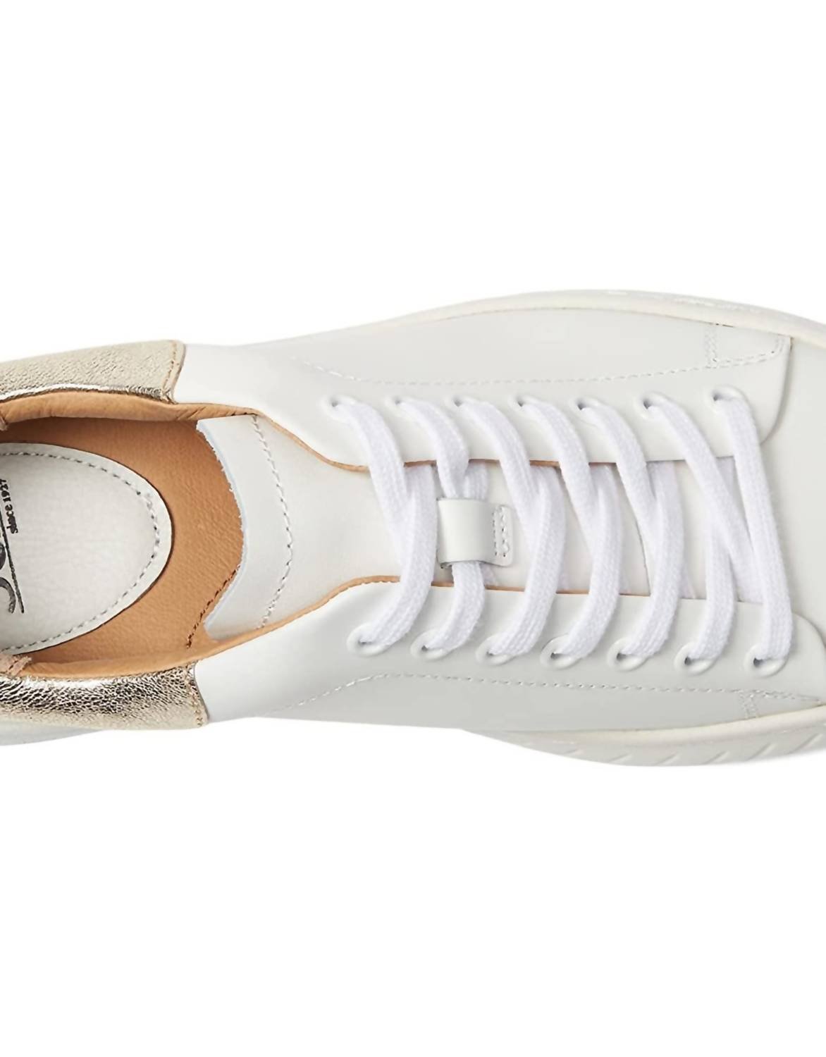 Sofft - Women's Parkyn Sneaker - shoes - sneakers - white