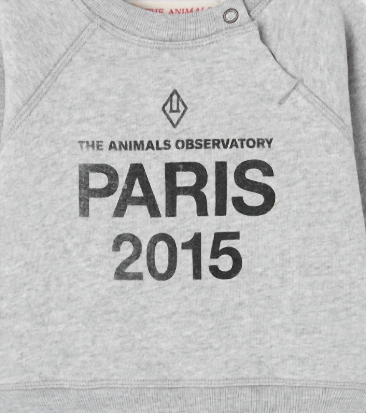 The Animals Observatory - Boy's Jackal Paris Sweatshirt