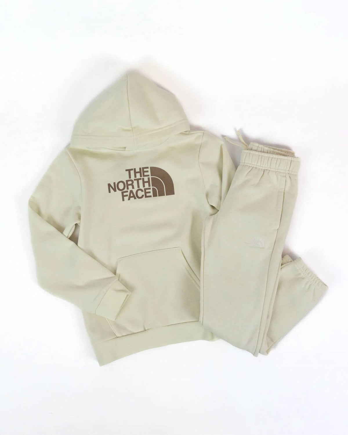 The North Face - Teen's Evolution Half Dome Pullover Hoodie