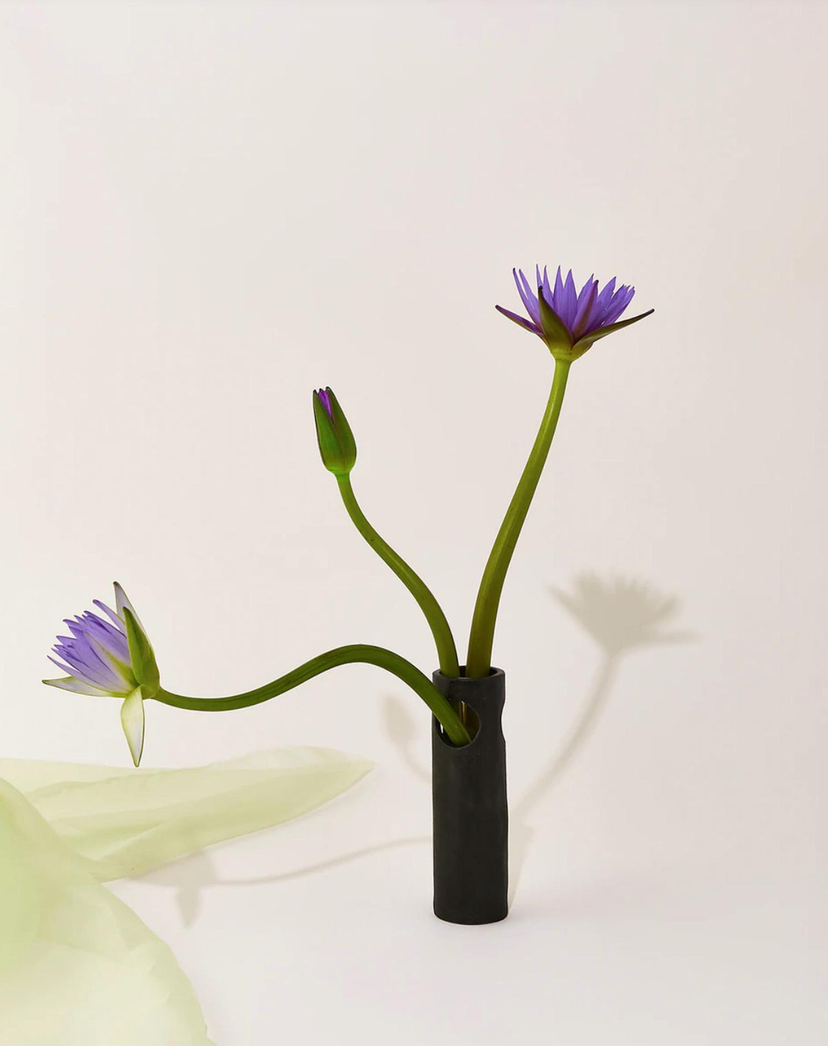 Virginia Sin - Cenote Vase