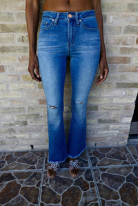 Ymi - Paula High - rise Flared Jean - blue - clothing - cotton - blend